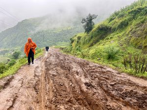 ढोरपाटन जाने पर्यटकलाई हिलाम्मे सडकले सास्ती