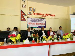 अल्झेका योजना सक्न ध्यान दिउँ : पौडेल