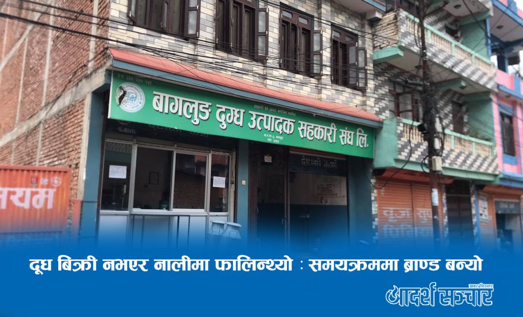 दूध बिक्री नभएर नालीमा फालिन्थ्यो : समयक्रममा ब्राण्ड बन्यो