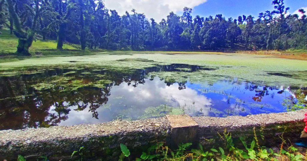 धमाधम सुक्न थाले ताल, संरक्षणमा चुनौती