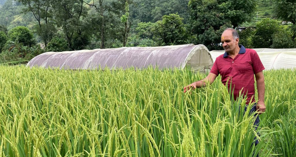 ‘जोन कार्यक्रम’ले बागलुङ र पर्वतमा कृषि उत्पादन बढ्यो