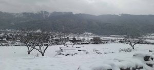 वर्षा र हिमपातले किसानलाई राहत