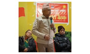 गण्डकीमा एमाले १५ सिट जित्छ : एमाले सचिव अधिकारी