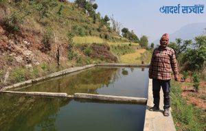 माछा, सुन्तला र अलैँची खेतीमा रमाउदै मालिकाका कमल