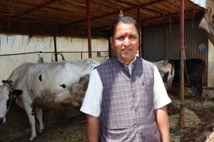 कोरोनाले गाउँ फर्केका सापकोटाले बेच्छन् मासिक पाँच लाखको दूध
