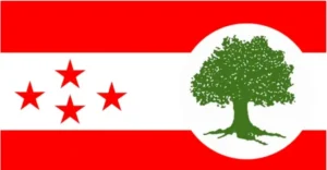 कांग्रेस अधिवेशन : कोको बने गलकोटका वडा सभापति विवरण सहित